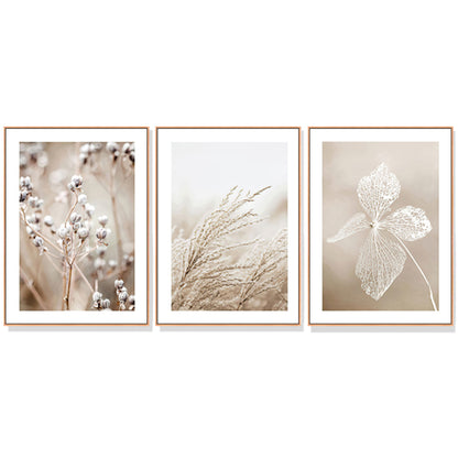 Dried Flower 3 Sets Wood Frame Canvas