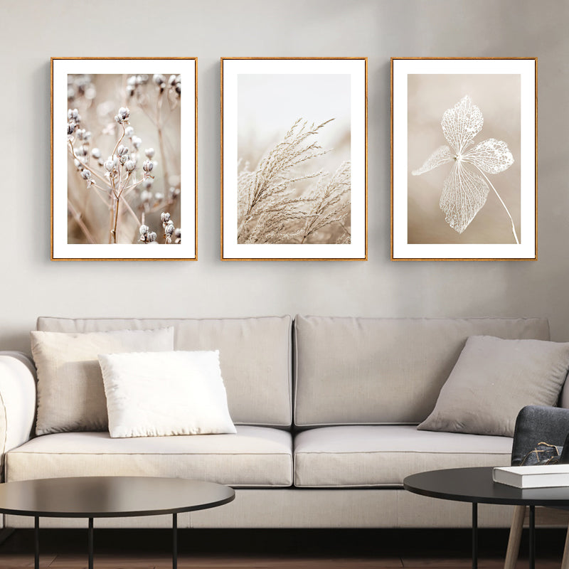 Dried Flower 3 Sets Wood Frame Canvas