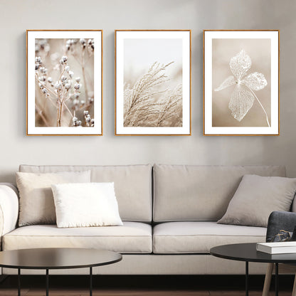 Dried Flower 3 Sets Wood Frame Canvas