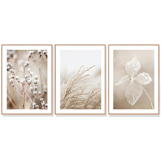 Dried Flower 3 Sets Wood Frame Canvas